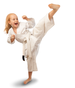Karate PNG-55571